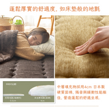 Carpet|防潑水.隔音.加厚地氈 - MODERNO|IKEHIKO池彥