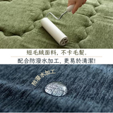 Carpet|防潑水.隔音.加厚地氈 - MODERNO|IKEHIKO池彥