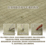 Pillow|燈心草枕頭 - ASK全燈心草中層平枕|IKEHIKO池彥