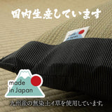 Pillow|燈心草枕頭 - Aller Proof 消臭枕|IKEHIKO池彥