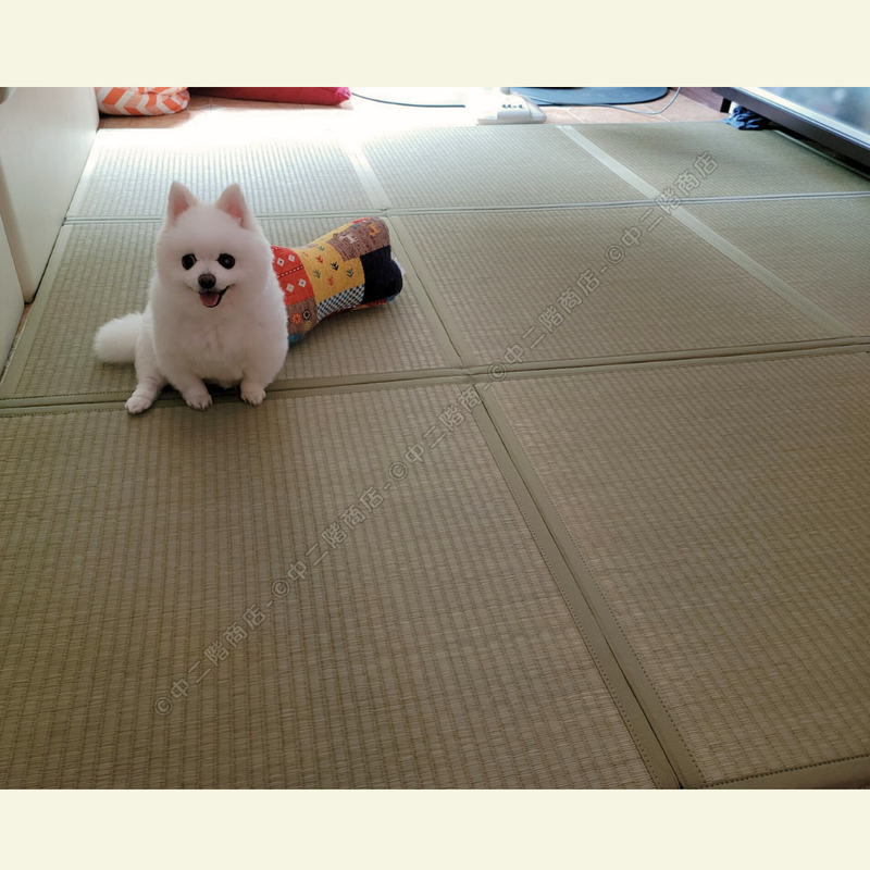 Foldable Tatami｜摺疊式榻榻米 - PATA PATA｜IKEHIKO池彥